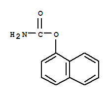 1133-81-9 structure