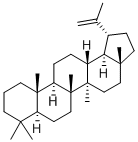 1721-81-9 structure
