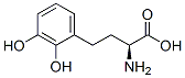 372510-81-1 structure